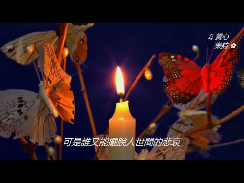 ✿ 流行金曲 雙語演繹精選 (B16-466) (國  粵)【新鴛鴦蝴蝶夢 ~ 沈丹 ● 新鴛鴦蝴蝶夢 ~ 何家勁】昨日像那東流水 ... 離我遠去不可留 ... 今日亂我心多煩憂 ＃賞心懷舊金曲 ✿