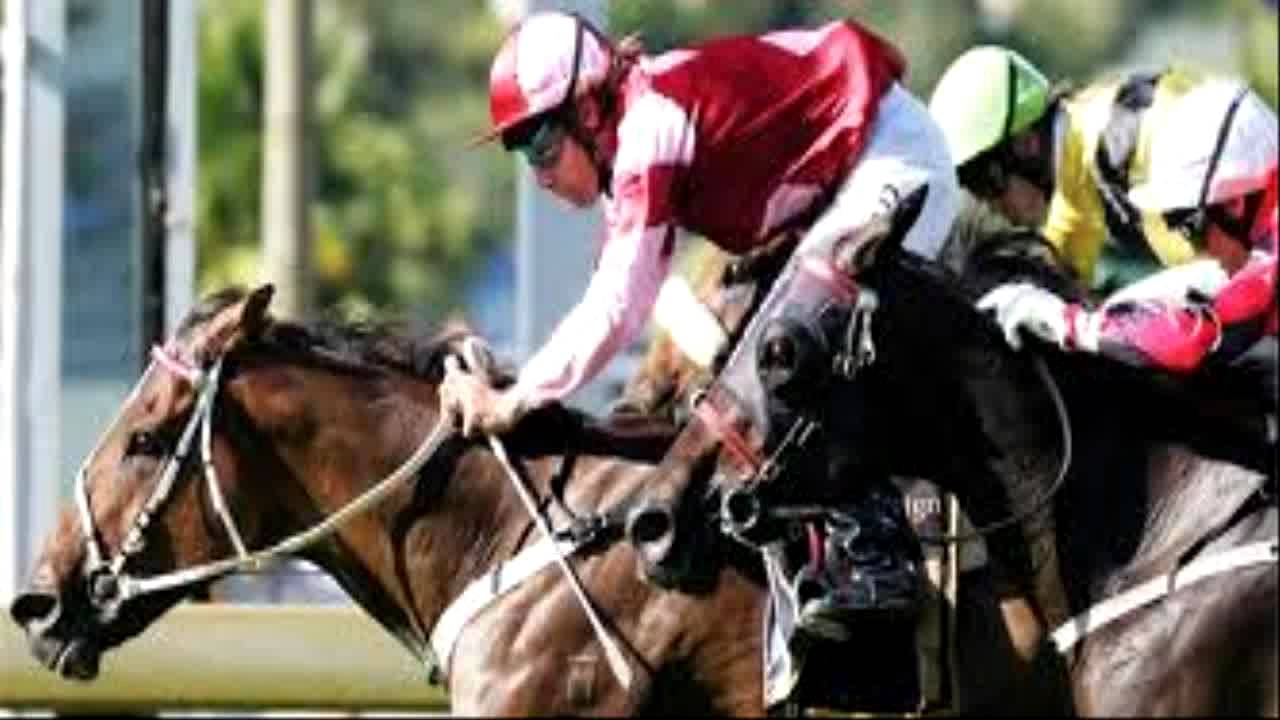 American Horse Racing YouTube