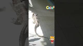 อายแดดสบายเลยนะตดต