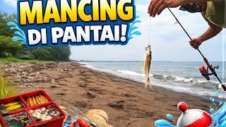 Mancing Pantai Pakai Alat Sederhana Strike Terus mancing 