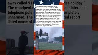 TOWN'S ENTIRE FIREWORK SURPLUS DETONATED BY WOODPECKER 🪶🎆😂