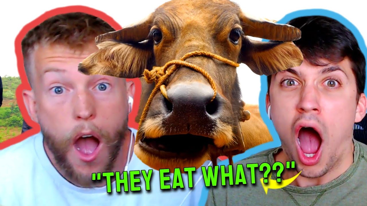 They Eat WHAT in Vietnam??? (Best Ever Food Review Show Reaction) YouTube