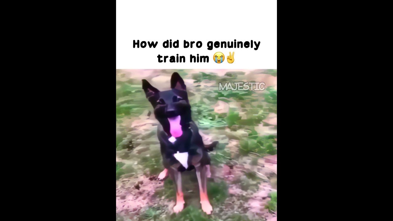 #playlist