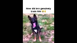 #singing
