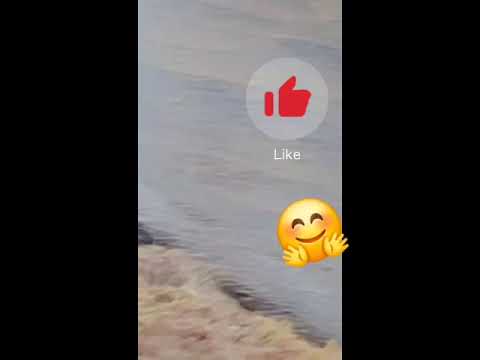 ዝናብ ሲዘንብ አያስድስትም Abelbirhanuየወይኗ