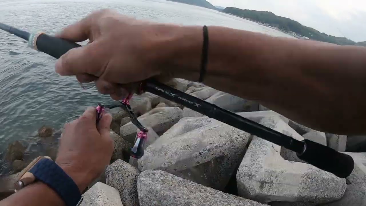 2025/09/08しまなみ海道エギング