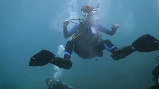Fathom Five Reel