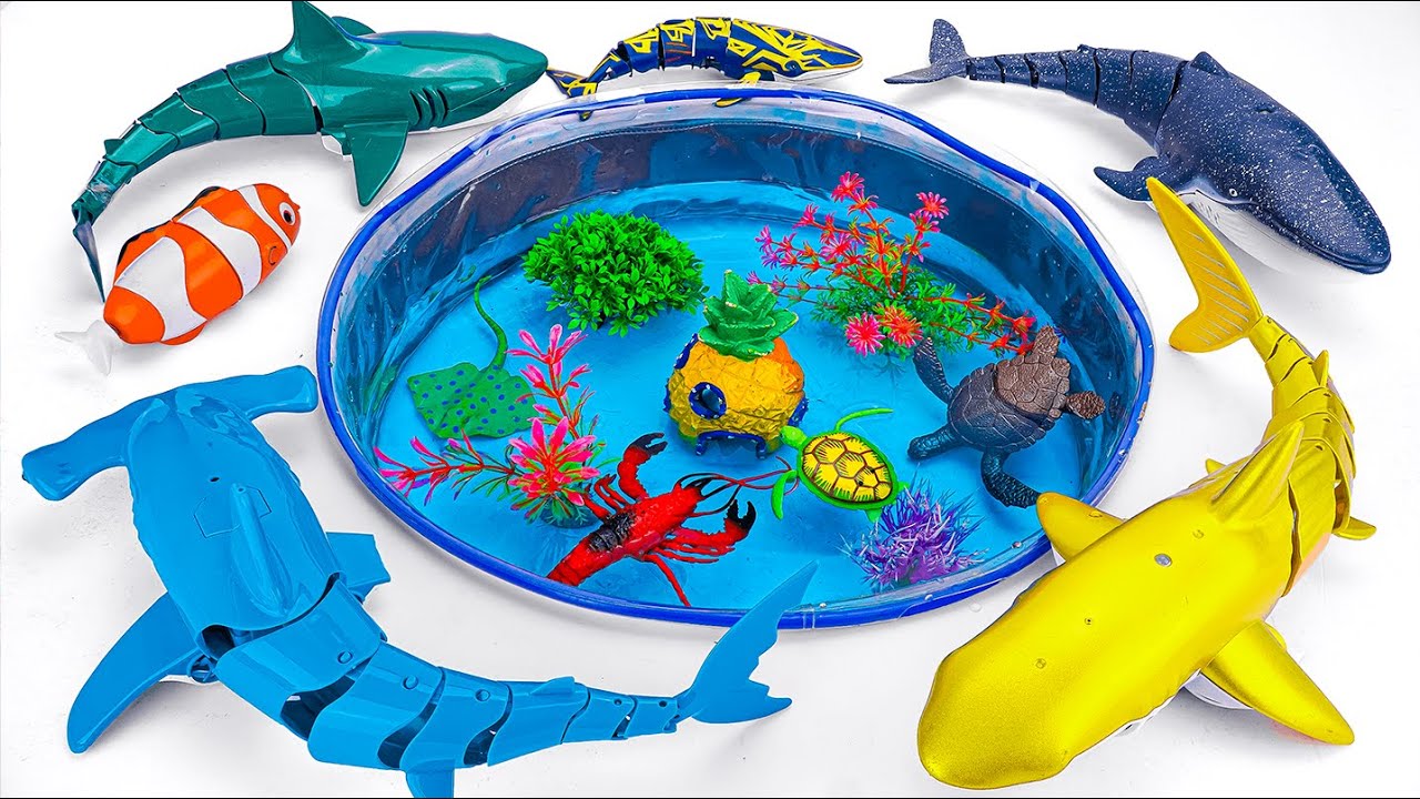 [🐳Toy asmr🐳] RC Whale & Hammer Shark & Gold Shark & Aquarium ASMR | Satisfying with Unboxing