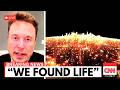 James Webb Telescope FINALLY Found Urban Lights 4 Light Years from Earth