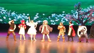 Fancy Mascot Costume For Stage Performance Deguisement Mascotte Mascota Maskot Maskottchen Design