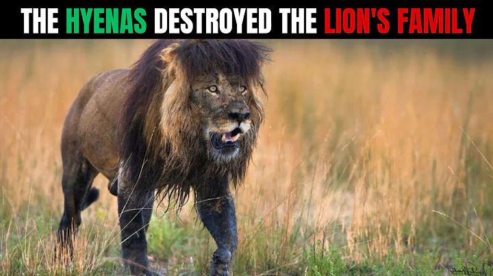 The Lion Who Hunted His Family's KILLERS for 14 MONTHS... and FOUND Them