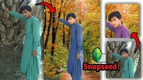 Snapseed Photo Background Editing DSLR Effect Photo !! Sanpseed Background Change Photo Editing