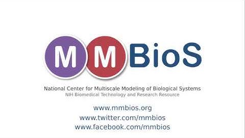 2017 MMBioS Cell Modeling Workshop; Day3, part3