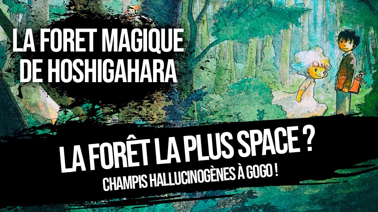 La forêt magique de Hoshigahara - Mangado la voie du manga - YouTube
