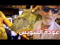 السويس تتألق 🌟 بظهور الذهب الأبيض 🐟 كنوز البحر الأحمر بسوق الانصاري