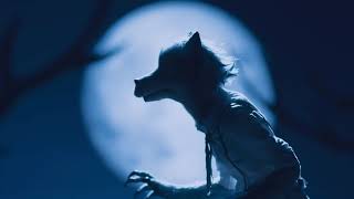 Beastars opening - 4k upscale using Topaz Video Enhance AI screenshot 5