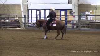 Miss Moonlight Chicand Dan Lindstrom Saturday Novice Krha