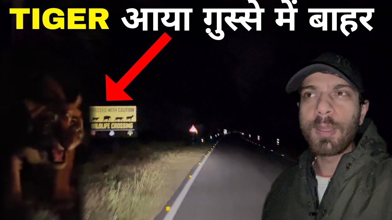 Night Drive Jim Corbett National Park | Tiger Attack | Jim Corbett Maneater Tiger