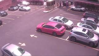 shawmut employee incident with biker