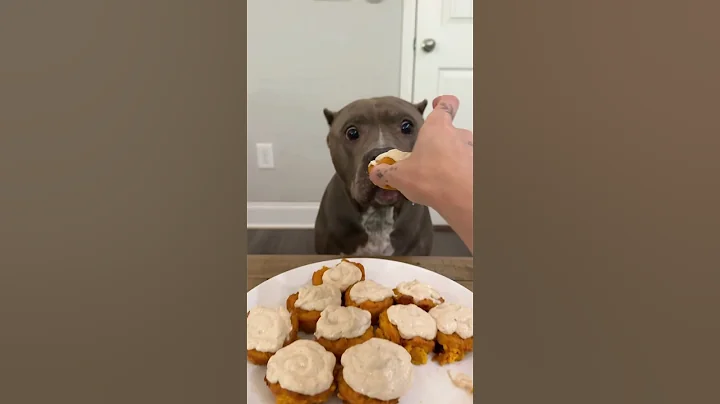 Pupcakes for dogs 🧁