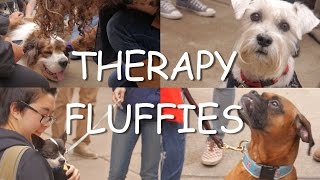 Therapy Fluffies