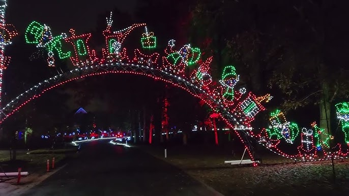 12+ Santee Cooper Lights