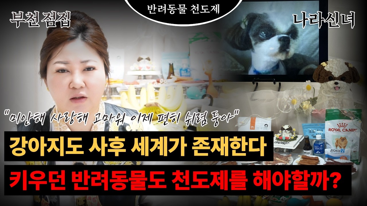 키우던 반려동물도 천도제를 해야할까? 강아지의 혼이 실렸다 [나라신녀]