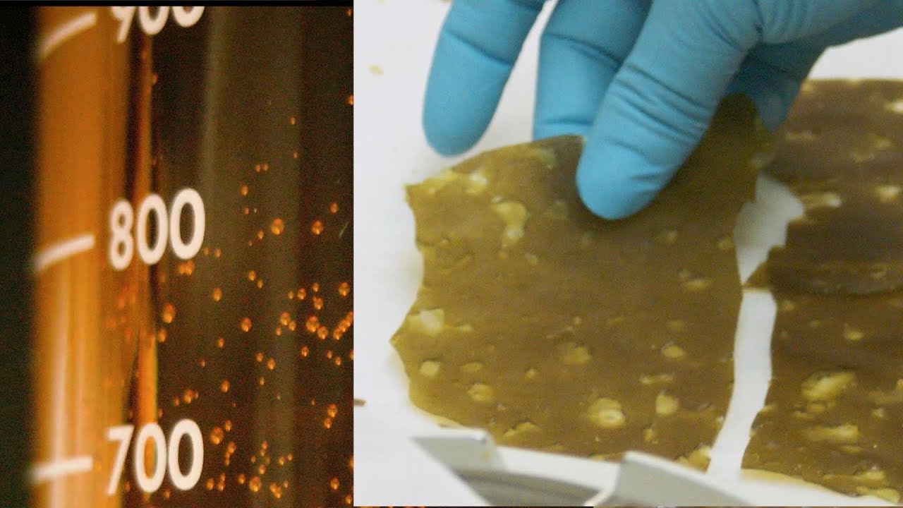 Mass-Producing Oil and Shatter (Halo Labs)