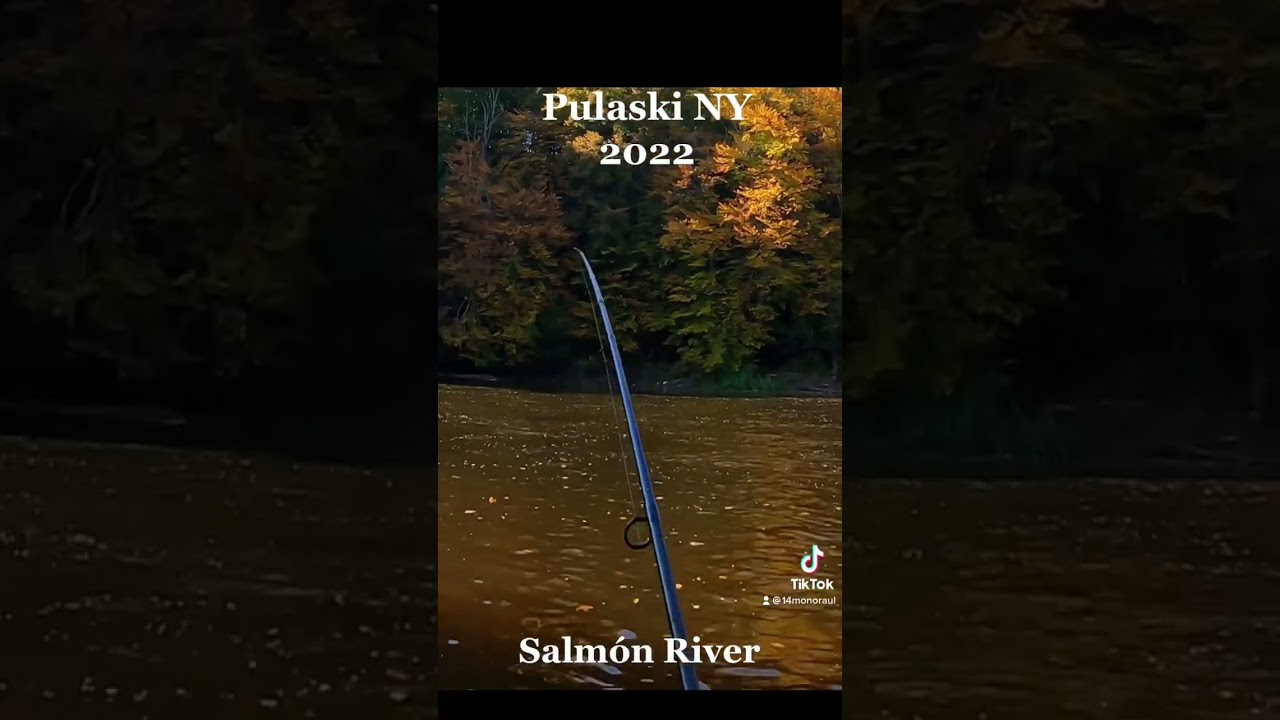 Pescando Salmón Salmón River 2022 shorts YouTube