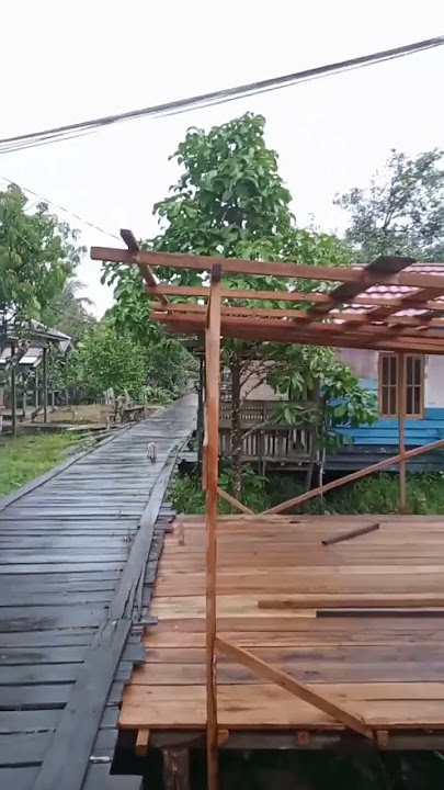 suara walet respon asli dan berkualitas