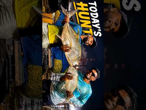 Thrilling Adventures Boat ⛵ Trip At Chennai Kamaraj Port 💥 #chennaifishingvideos #chennaifishingtips