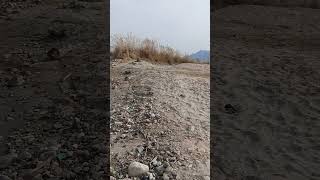 byas nadi ka sunder roop# ranavideo #shorts