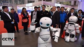 Various smart robots make debut at 2016 World Robot Conference