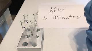 CHM107 Experiment #8 Detection of Proteins After 5min
