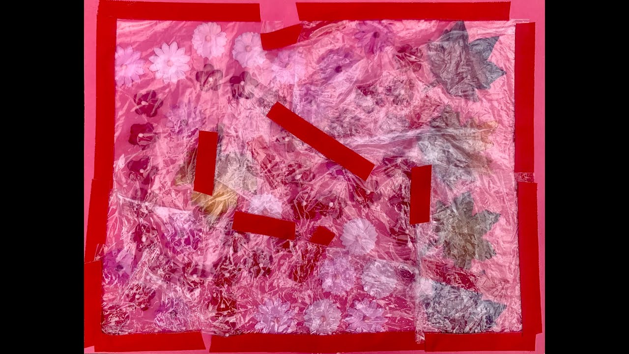 Perseverance - Na'ilah Ali -- Daisy Waters: Buried in the Earth's Eternity