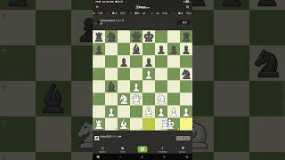 Checkmate In 20 Moves