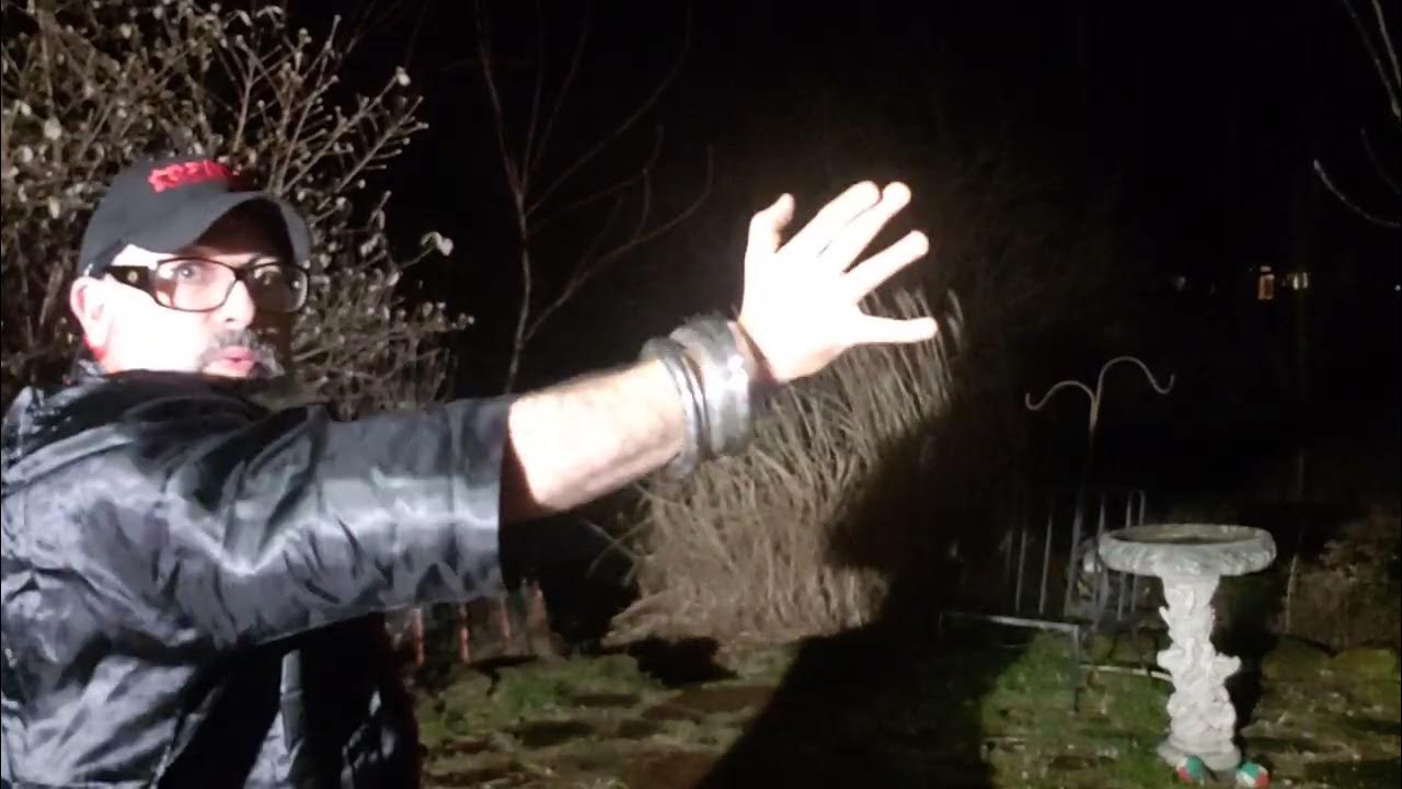 Wushu Art Ellective , יהודי הקונג פו Tiger Crane Fist 🤜👊🤛👊 YouTube