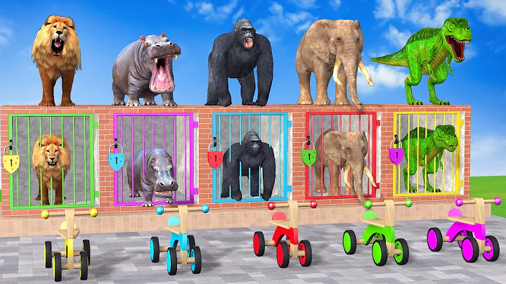 Long Slide Game With Cow Elephant Gorilla Hippopotamus Tiger - 3d Animal Game - Funny 3d Animals