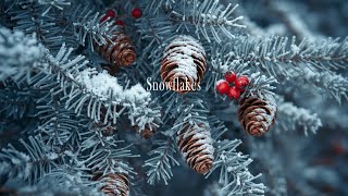 Snowflakes Are Winter's Butterflies ❄️ | Relaxing Guitar Music for Winter Nights & Christmas Calm
