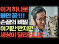 귀에 손가락 하나 넣었을 뿐인데… 불안이 거짓말처럼 사라졌습니다, 귀자극, 불안완화, 자율신경, 시니어건강, 명상루틴, 수면습관, 불면해결, 스트레스해소, 건강습관, 마음안정