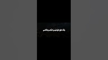 سورة النجم | محمد صديق المنشاوي رحمه الله ♥   #quran #foryou #قرآن