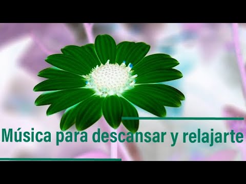 Música para relajarte y descansar