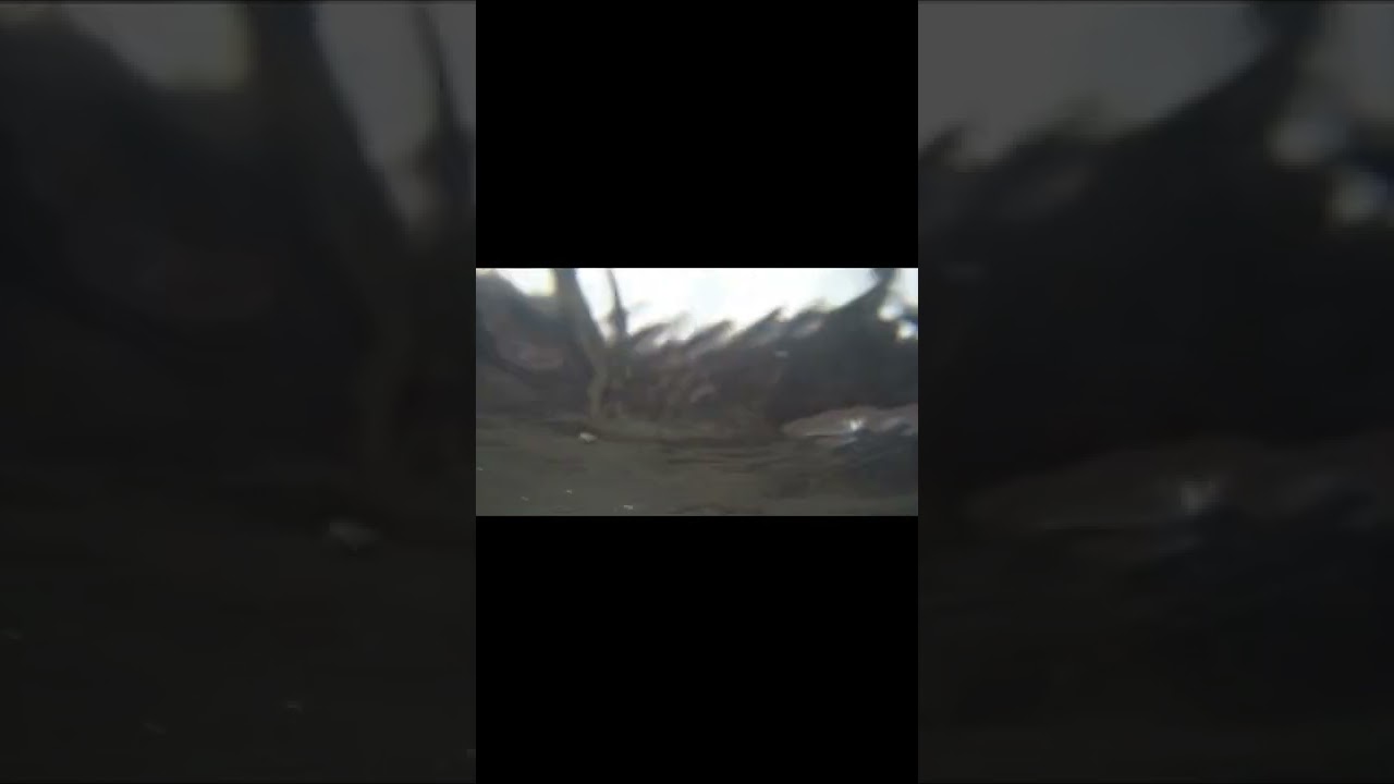 AuSable River Arkona, Ontario