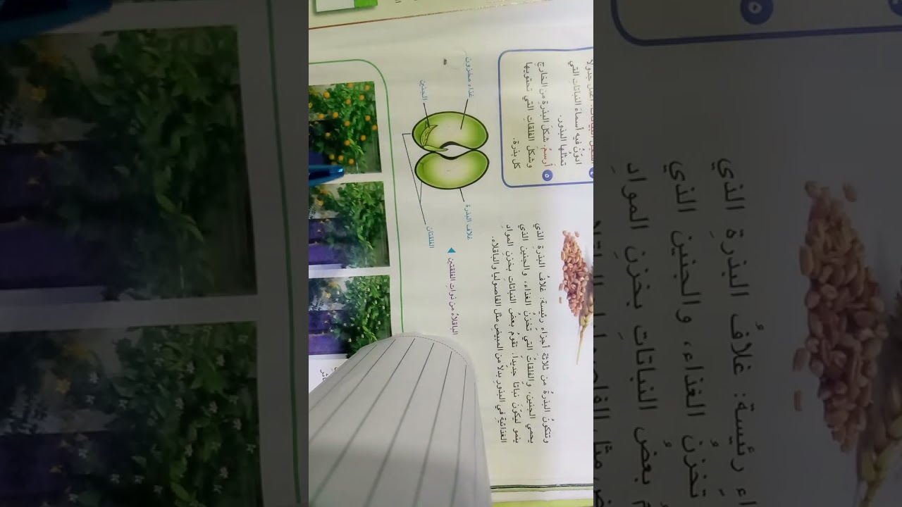 شرح ماده العلوم للصف الخامس وحل اسئله مراجعه الدرس النباتات الزهريه  