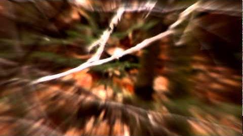 Arborea - River and Rapids