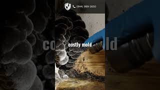 Refrigerator Leak? Check Your Subfloor Before It's Too Late