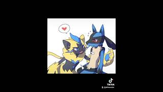 Lucario X Zeraora