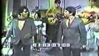 The Turtles - Well Meet Again Hd Horrible Definition