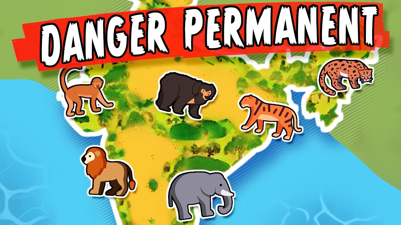 Pourquoi Les Animaux d'Inde sont plus DANGEREUX que ceux d'Australie ?