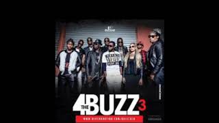 Drapeau BUZZLAB(4the Buzz 3)
